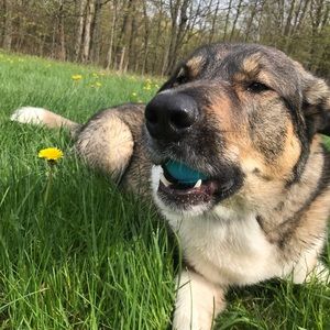 Meet your Posher, Laura